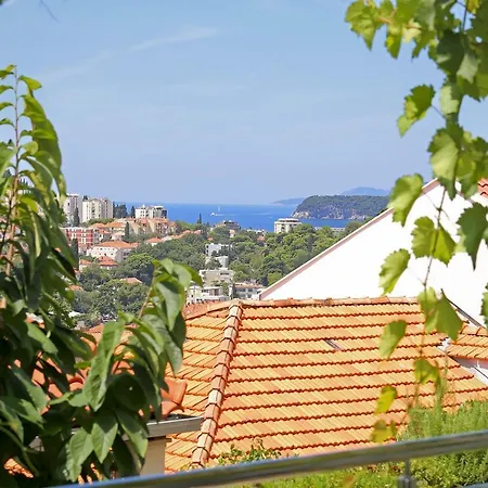 Abelia, Two Terraces, Hot Tub, Free Parking 아파트 두브로브니크