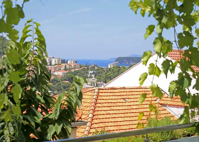 Abelia, Two Terraces, Hot Tub, Free Parking Apartment Dubrovnik