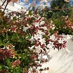 Abelia, Two Terraces, Hot Tub, Free Parking دوبروفينك
