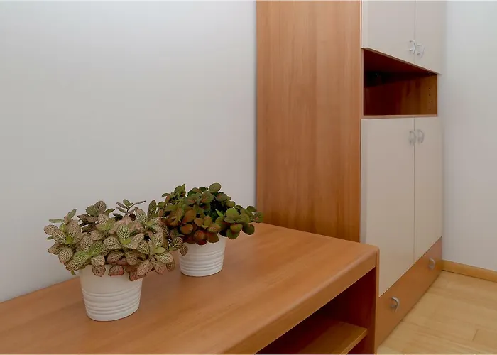 Abelia, Two Terraces, Hot Tub, Free Parking Apartament